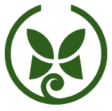 mvmentoriaycoaching.com